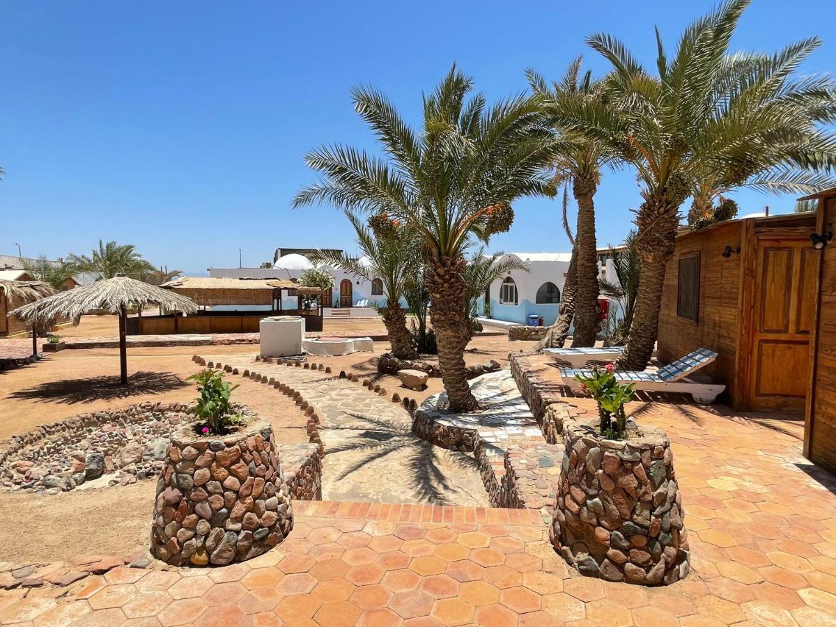 Dolphin Camp Hotel Дахаб Екстериор снимка