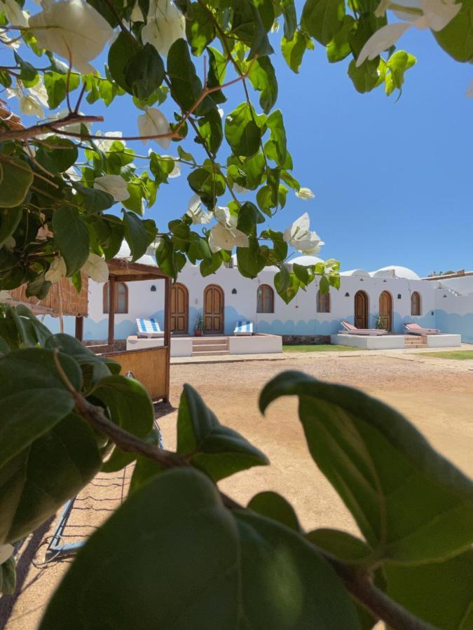 Dolphin Camp Hotel Дахаб Екстериор снимка