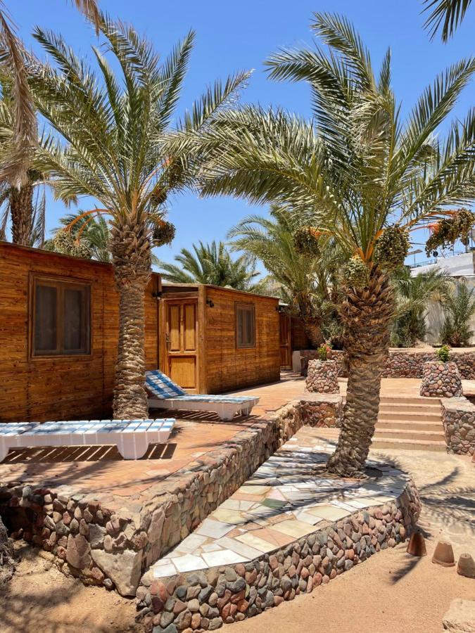 Dolphin Camp Hotel Дахаб Екстериор снимка