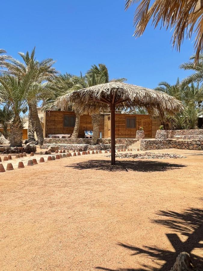 Dolphin Camp Hotel Дахаб Екстериор снимка