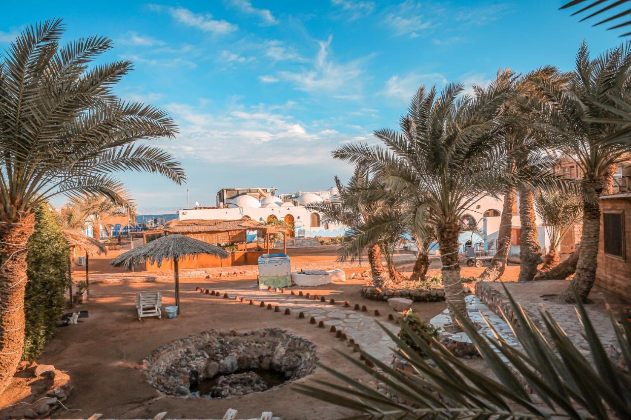 Dolphin Camp Hotel Дахаб Екстериор снимка